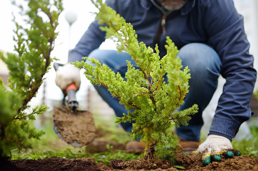 Landscape Services
